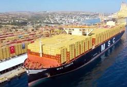 Dünyanın en büyük gemilerinden! Cumhuriyet'in kuruluşunun 100'üncü yıl dönümü nedeniyle 'MSC Türkiye' adı verildi