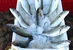 Tezgahlar dolup taştı! Tanesi 200 liradan satılıyor