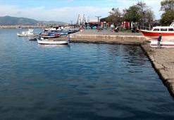 Marmara Denizi'ni bekleyen felaket! Prof. Dr. Mustafa Sarı 'Yüzey suyu sıcaklığı hala 20 derece' diyerek uyardı