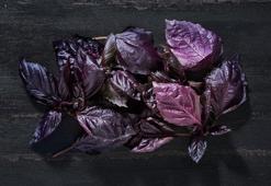 Kuran-ı Kerim'de yeri var! Libido yükseltiyor, 10 hastalığı kökünden kazıyor!