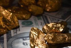 Türkiye'den 285 milyar dolarlık altın çıkarılacak! Büyük rezervi miktarı açıklandı