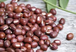 Alzheimer'ın Japonya'da az görülmesinin nedeni bu besin! Sofralarından eksik etmiyorlar, demans gelişim riskini azaltıyor!