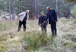 Petrol heyecanı! Adeta her yerden fışkırıyor