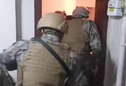 'Sarallar' organize suç örgütü çökertildi