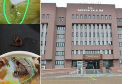 Yurtta 'yemekten böcek çıktı' iddiasına soruşturma