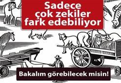 Dünyaca ünlü civciv testi! Siz kaç saniyede görebileceksiniz?