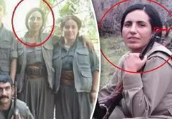 PKK/KCK'nın sözde sorumlusu Gülsüme Doğan etkisiz hale getirildi
