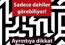 Ne kadar dikkatlisin? 10 saniyede test et...