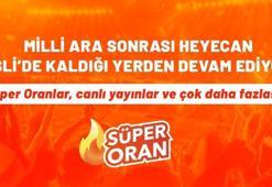 Milli ara sonrası heyecan Misli’de kaldığı yerden devam ediyor! Süper Oranlar, canlı yayınlar ve çok daha fazlası…