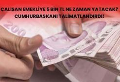 Çalışan emekliler 5000'yi ne zaman alacak, 5 bin TL ikramiye ne zaman verilecek? Emekli ikramiyesinin yatacağı tarih...