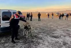 Kayseri'de "Can dostlarımız" operasyonu: 35 kişi yakalandı