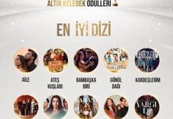 Yılın en iyi dizisi: 49. Pantene Altın Kelebek Ödülleri'nde En İyi Dizi hangisi oldu? İşte adaylar...