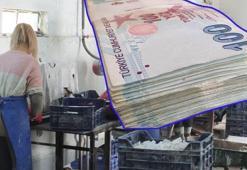 Sendikaların asgari ücret teklifleri 2024! Türk İş, İTO, DİSK’in asgari ücret teklifi ne kadar, asgari ücret ne kadar olacak 2024? Asgari ücret 2024 toplantısı