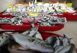 Havalar soğumadı balık akını bitti, lüferin kilosu 350 liradan 750 liraya çıktı