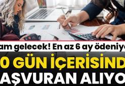 Maaş gibi ödeme! Zam geliyor, 30 gün içerisinde başvuranlar alıyor