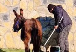 İstanbul'u terk edip köye yerleşti! Ünlü sanatçıyı görenler tanıyamıyor
