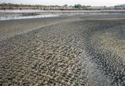 Alüvyal Toprak Nedir, Nerelerde Görülür? Alüvyal Toprak Özellikleri Nelerdir?