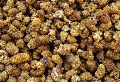 Dut Kurusu Kürü Tarifi İle Zayıflama Önerileri...dut Kurusu Kürü Nasıl Yapılır, Nasıl Kullanılır?