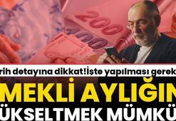 Yüksek emekli maaşı almak isteyenler için formül basit! Tarih detayı dikkat çekiyor