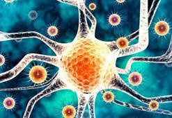 JN1 varyantı nedir? Covid-19 yeni varyantı JN.1 varyantı belirtileri neler, Covid-19 varyantı hangi ülkelerde var, Türkiye'de görüldü mü?