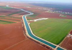 Bakan Özhaseki: 1,3 milyar hazine arazisi çiftçilere kiralandı