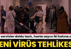 Birden fazla virüs vuruyor! Tehlikeyi açıkladı, hasta sayısı iki katına çıktı