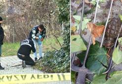 Büyükçekmece'de bir binanın önünde el bombası bulundu