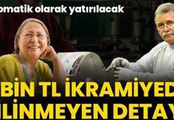 Çalışan tüm emeklilere 5 bin TL ikramiye! Yeni detay ortaya çıktı, otomatik olarak hesaplara yatırılacak