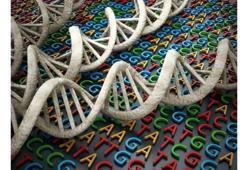 8. Sınıf Fen Bilimleri Dna Ve Genetik Kod Detaylı Konu Anlatımı Ve Örnek Sorular!