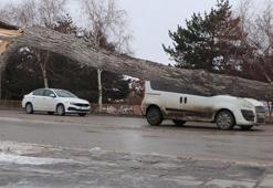 Erzurum'da fırtına; çatılar uçtu, ağaçlar devrildi