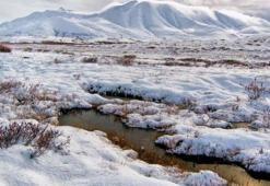 Tundra Nedir, Nerelerde Bulunur? Tundra Özellikleri Nelerdir?