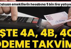 Çalışan emeklilere 5 bin lira hesaba yatacak! İşte 4A, 4B, 4C ödeme takvimi