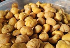 Bakan Bolat duyurdu: Kişi başı milli gelirimiz, 12 bin 500 dolara yükselecek