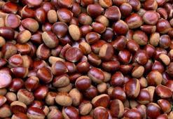 İstanbul pazarlarında kestane alarmı! Ucuz fiyatlı Çin kestanesi ile yerli kestane nasıl ayırt edilir? İşte aradaki fark...
