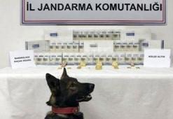 Yolcu otobüsünden külçe külçe altın çıktı