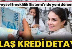 BES'te yeni dönem başlıyor! 1 Ocak itibarıyla geçerli olacak, kefil ve teminat detayı