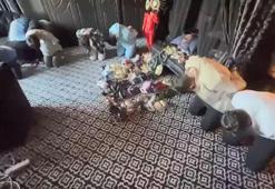 Fergio House operasyonunda yeni detaylar ortaya çıktı! Müstehcen partiler, köleler, maskeler ve kostümler