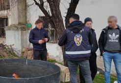 Kütahya'da horoz dövüşüne polis baskını