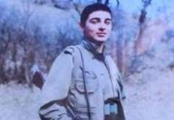 MİT'ten nokta operasyon! Eylem planı yapan Sadık Şeyh Ahmet etkisiz hale getirildi