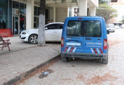 Kestiği ağaç sonu oldu! Feci olay