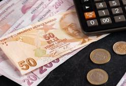 Türk Lirası mevduatta 2 yılda yüzde 385 büyüme