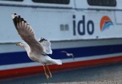 İDO, BUDO ve Şehir Hatları'nda seferler iptal: 9 Ocak iptal edilen vapur seferleri listesi...
