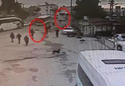 Muavinini ezerek öldüren şoförün mahkemedeki ifadesi ortaya çıktı