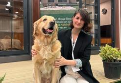 Karavanist Fuarı’nda vatandaşlardan Tiny House’a yoğun ilgi