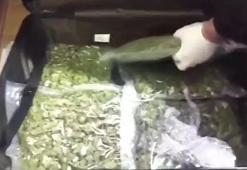 Sosyete torbacısı avukat yakalandı