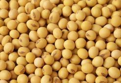 Sitikolin İçeren Besinler Nelerdir? En Çok Sitikolin Barındıran Gıdalar Listesi...