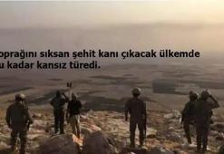 Vatan Sana Canım Feda, 9 şehit mesajları | 12 Ocak şehitleri için şehit mesajları bayraklı, resimli şehit sözleri!