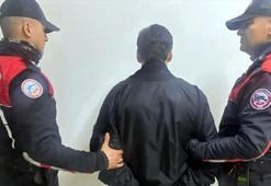 Kedilere eziyet eden ve örgüt propagandası yapan 'C31K' topluluğu üyesi 5 kişi tutuklandı