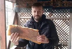 Kaçtığını sandığı arılar, kullanılmayan bavula bal yapmış
