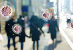 "Ölümcül koronavirüs üretildi!" Kabusun adı: GX_P2V